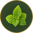 Birch