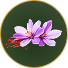 Saffron